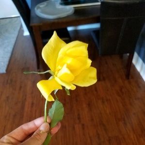 Meet your Posher, Marlana